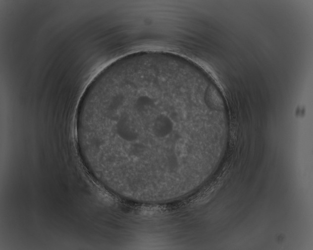 X0000095520887200801041220