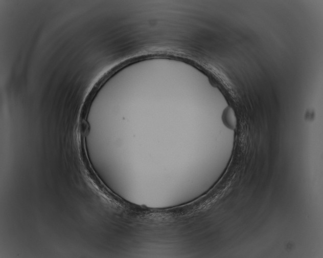 X0000095520888200801041220