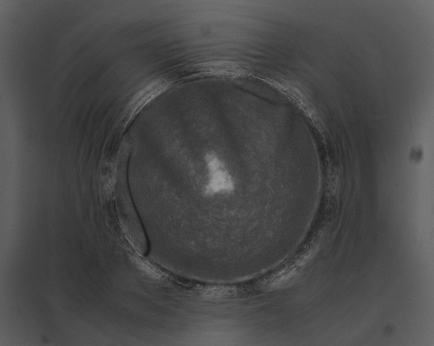 X0000095520889200801041220