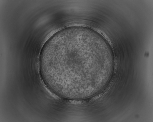 X0000095520890200801041220