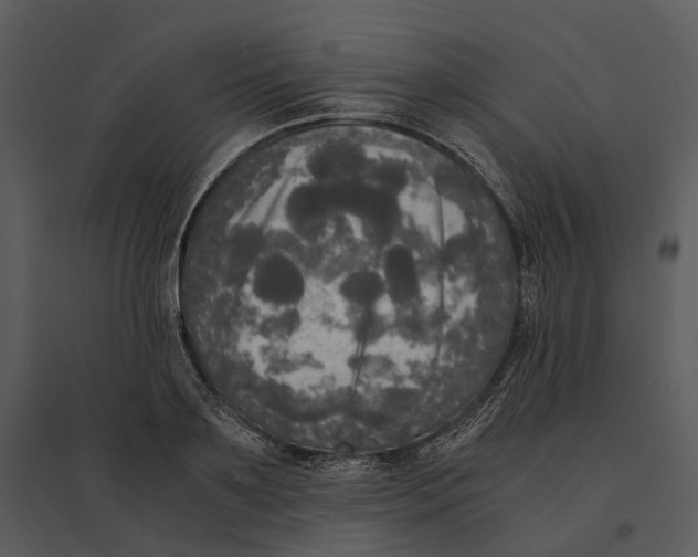 X0000095520891200801041220