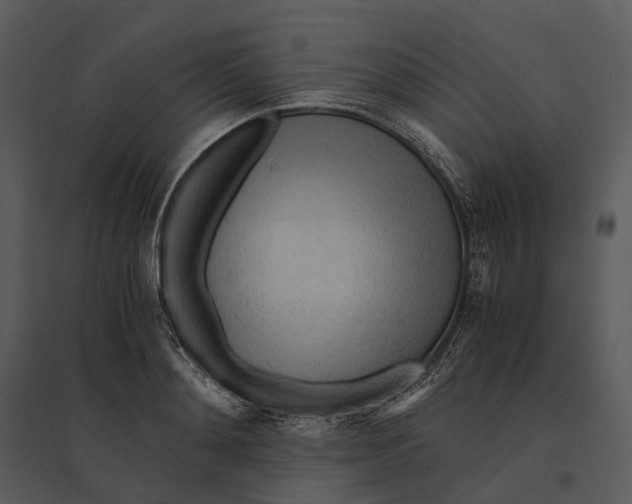 X0000095520892200801041220