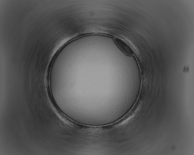 X0000095520893200801041220