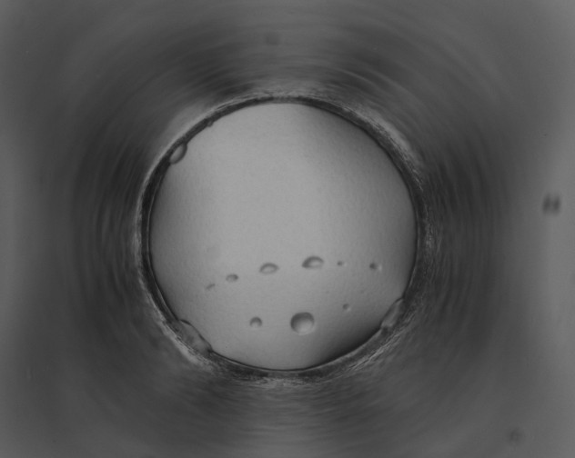 X0000095520894200801041220