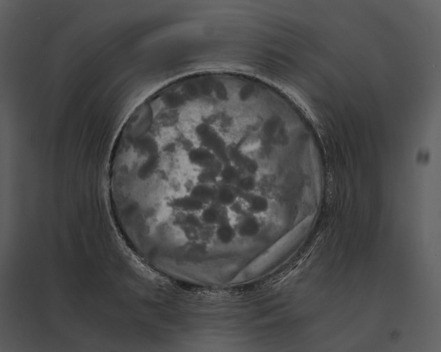 X0000095520895200801041220