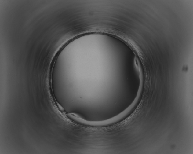 X0000095520896200801041220