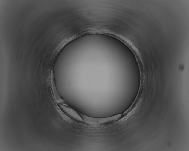 X0000095520897200801041220