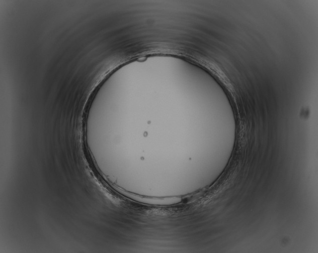 X0000095520898200801041220