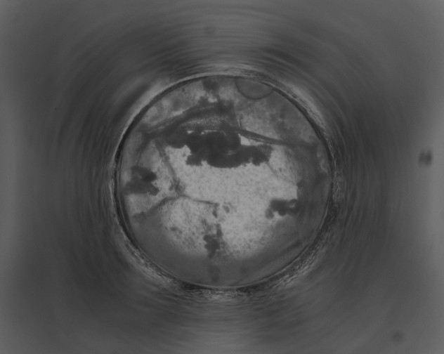 X0000095520899200801041220