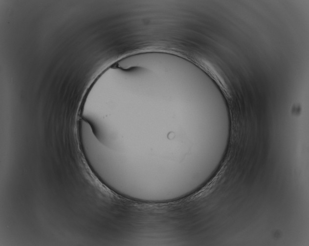 X0000095520900200801041220