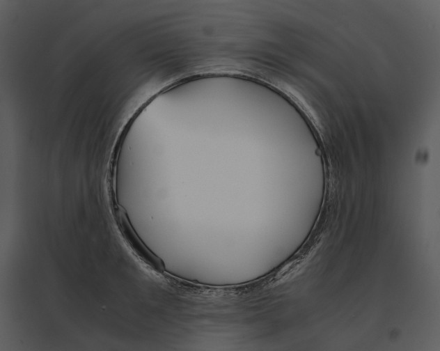 X0000095520901200801041220