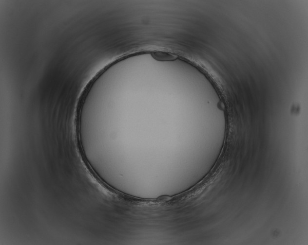 X0000095520902200801041220