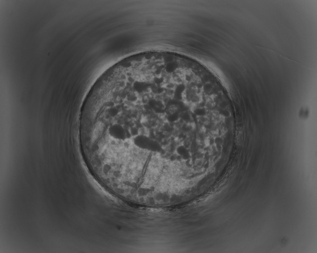 X0000095520903200801041220