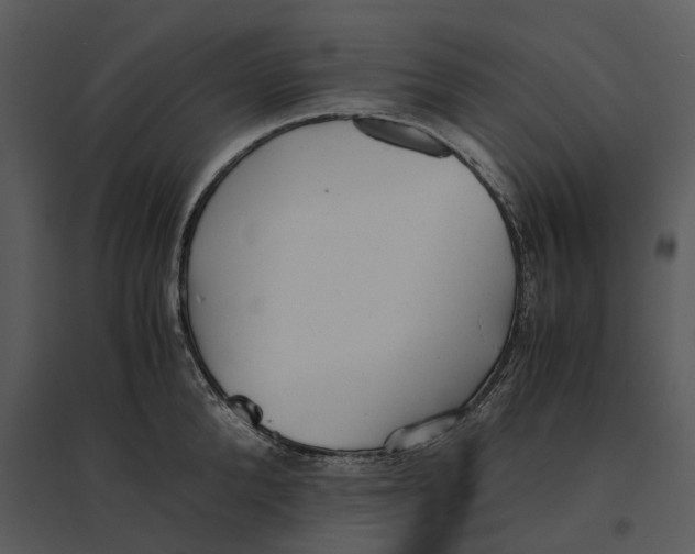 X0000095520904200801041220