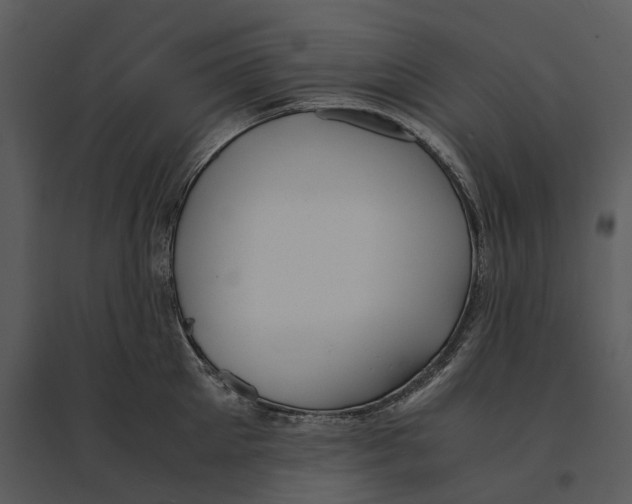 X0000095520905200801041220