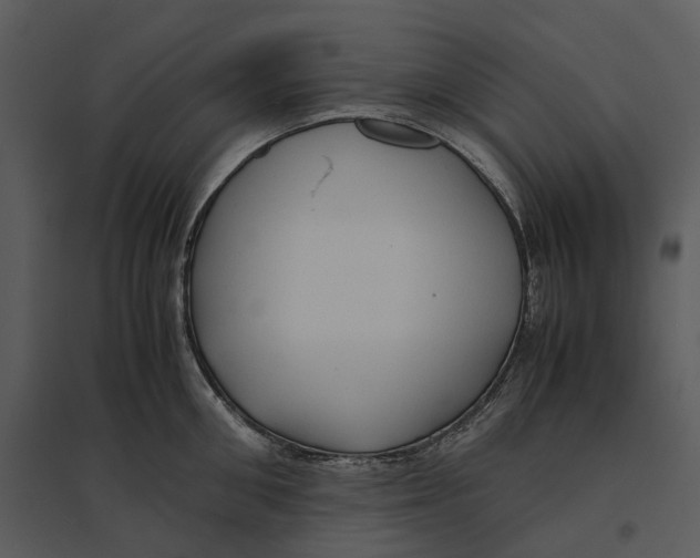 X0000095520906200801041220