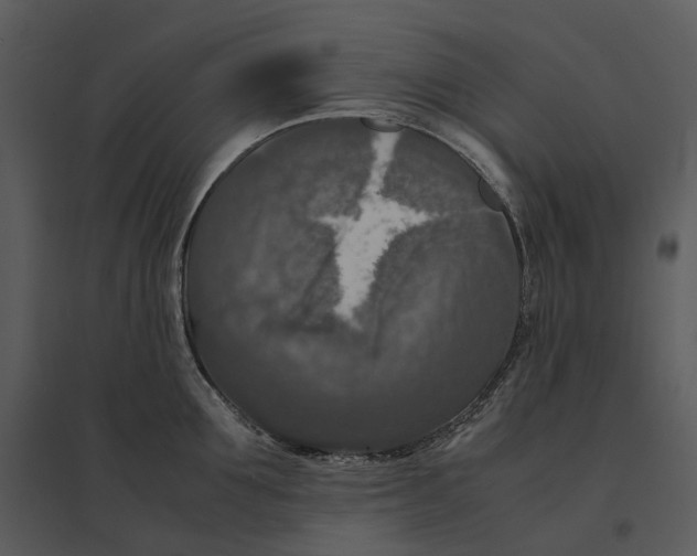 X0000095520907200801041220