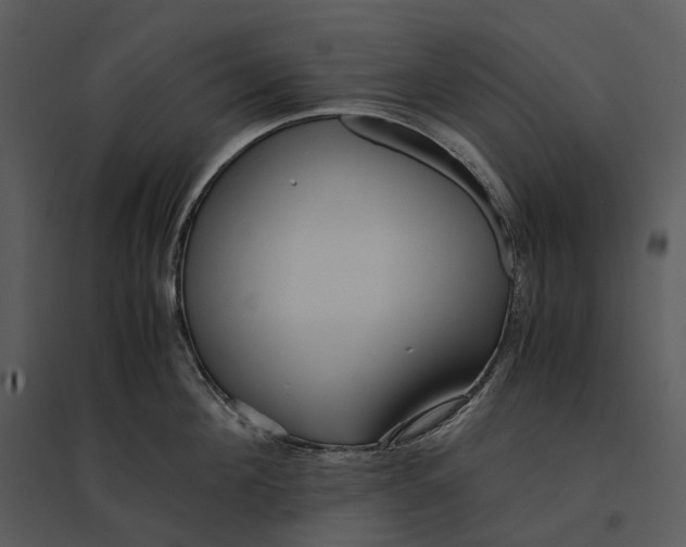 X0000095520908200801041220