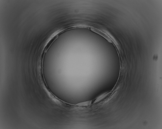 X0000095520909200801041220