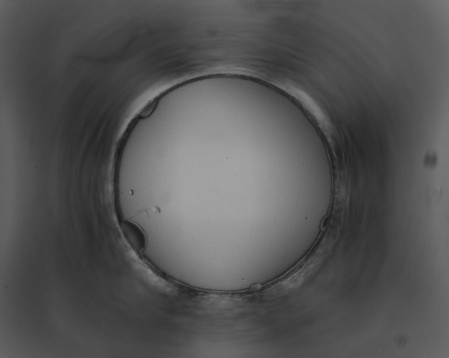 X0000095520910200801041220