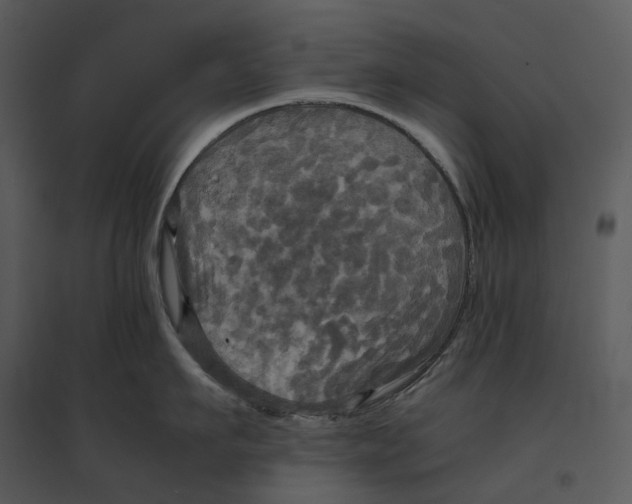 X0000095520911200801041220