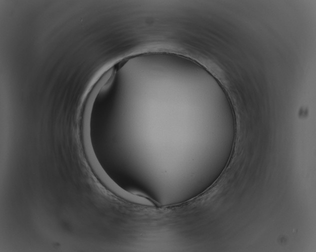 X0000095520912200801041220