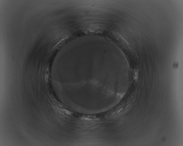 X0000095520915200801041219