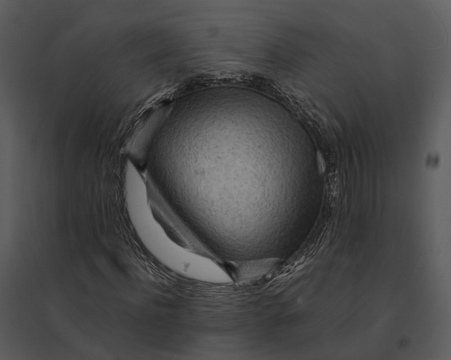 X0000095520916200801041219