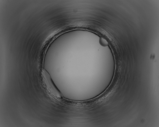 X0000095520922200801041219