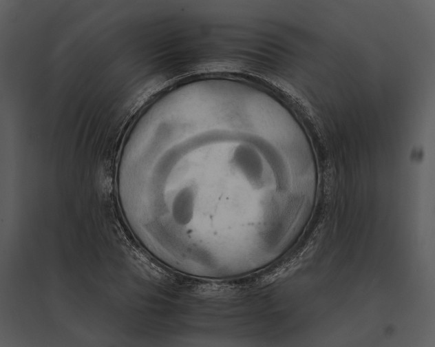 X0000095520929200801041220