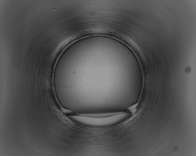 X0000095520930200801041220