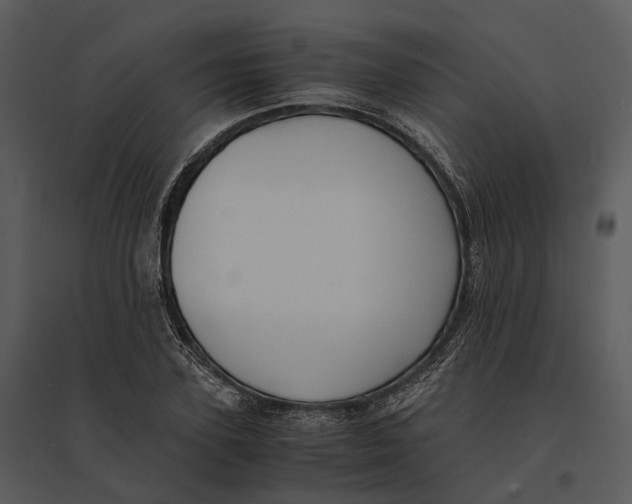 X0000095520931200801041220