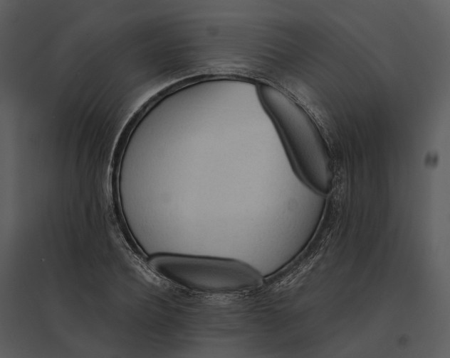 X0000095520932200801041220