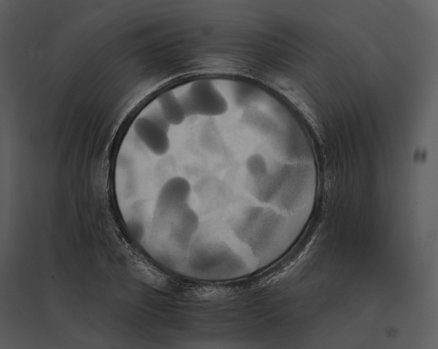 X0000095520933200801041220