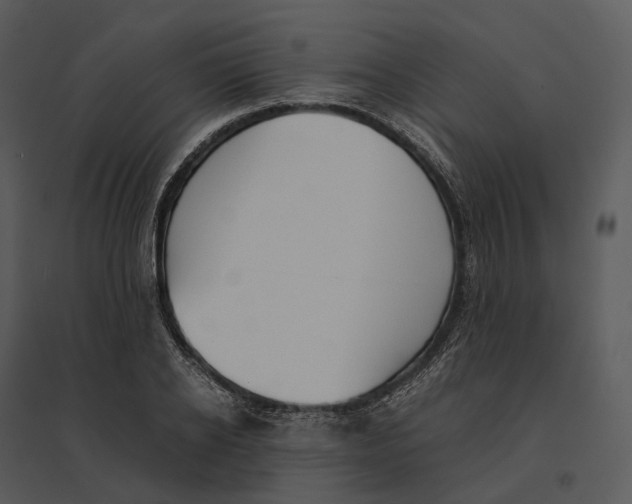 X0000095520934200801041220