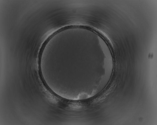 X0000095520935200801041220