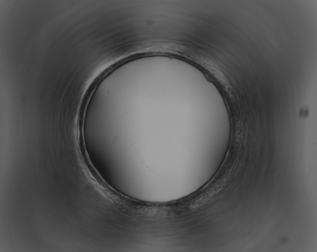 X0000095520936200801041220