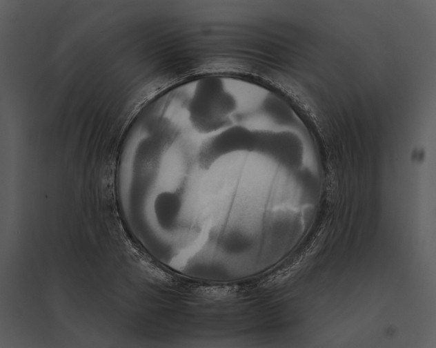 X0000095520937200801041220