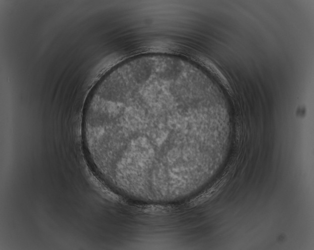 X0000095520938200801041220