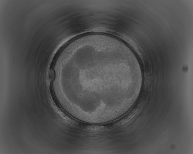 X0000095520939200801041220