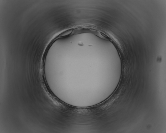 X0000095520940200801041220