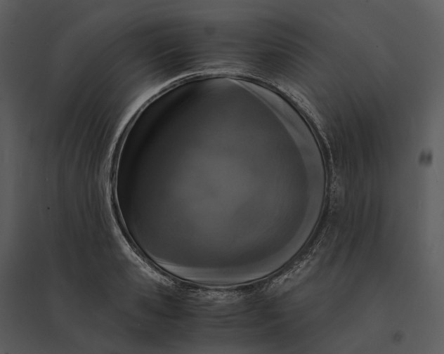 X0000095520941200801041220