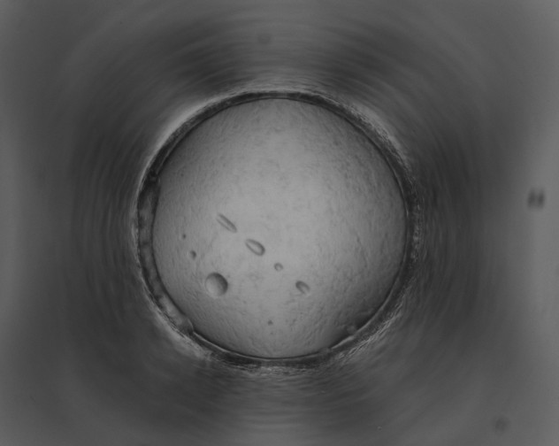 X0000095520942200801041220