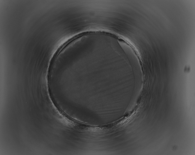 X0000095520943200801041220