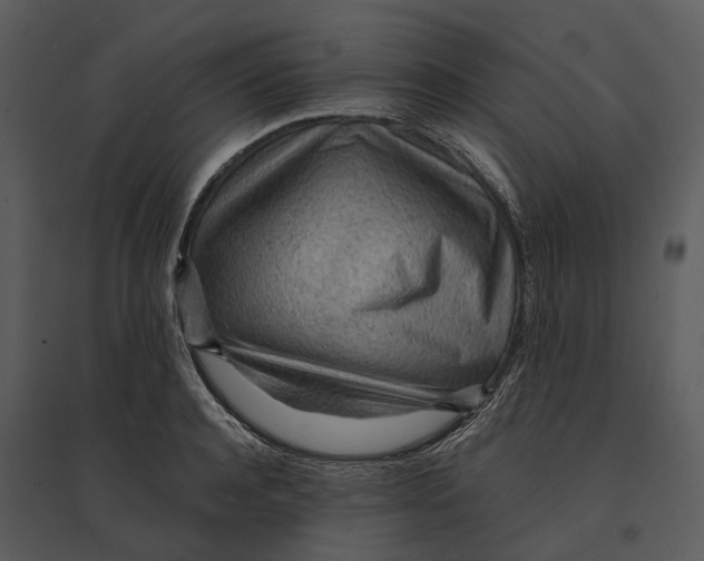 X0000095520944200801041220