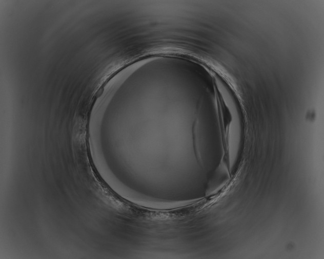 X0000095520945200801041220