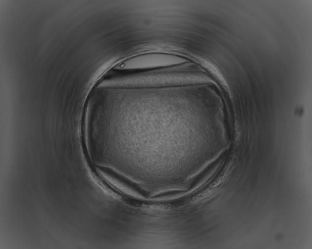 X0000095520946200801041220