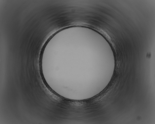 X0000095520947200801041220