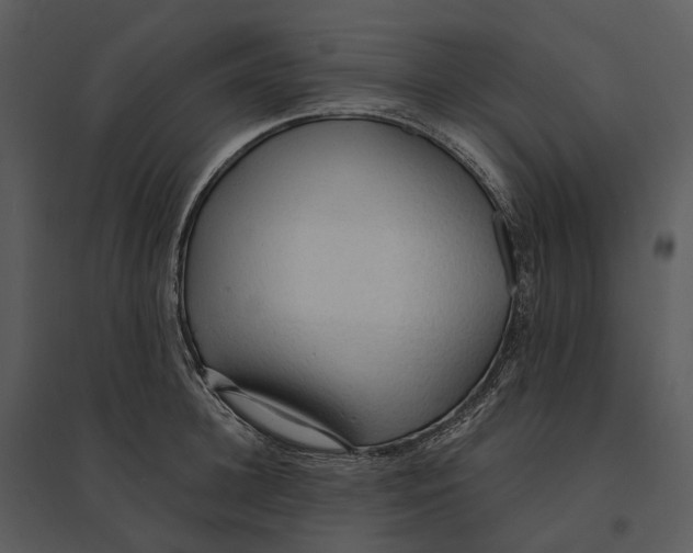 X0000095520948200801041220