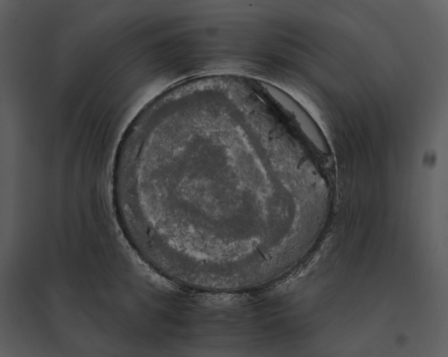 X0000095520949200801041220